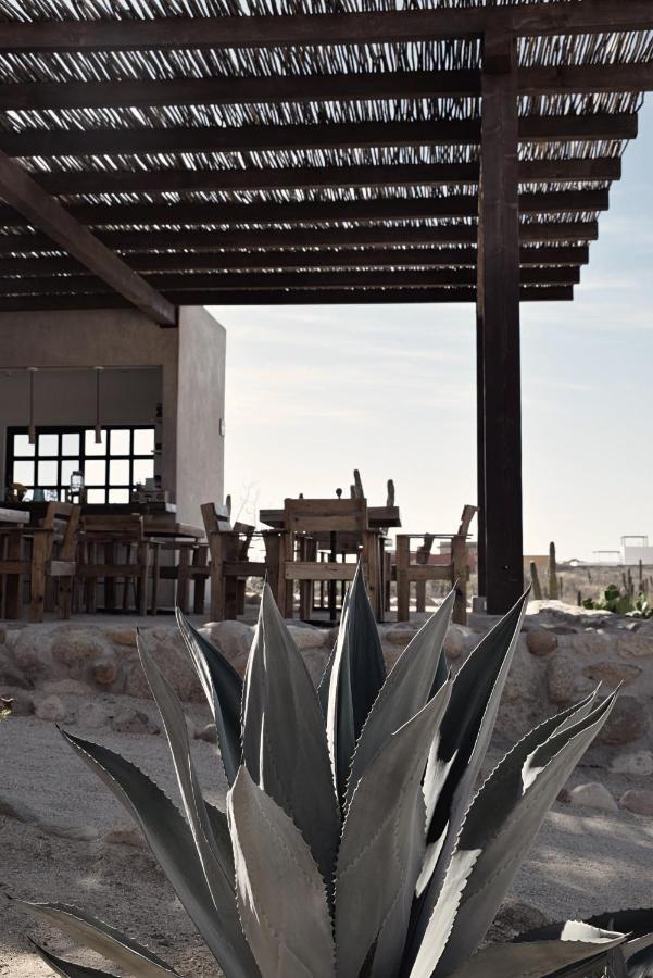 Desierto Azul Hotel Todos Santos Ngoại thất bức ảnh